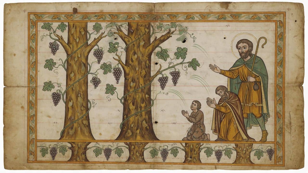 Illustration for Chapter 50 — As the Vine is Supported by the Elm, So is the Rich Man Helped by the Prayer of the Poor — The Shepherd of Hermas